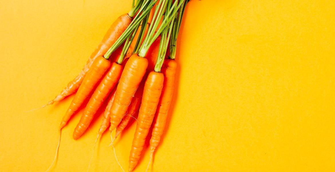 Bunch of carrots on orange background
