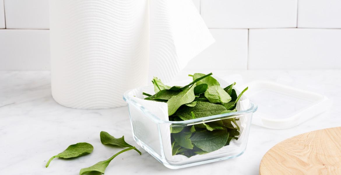 Baby spinach stored in container with paper towel