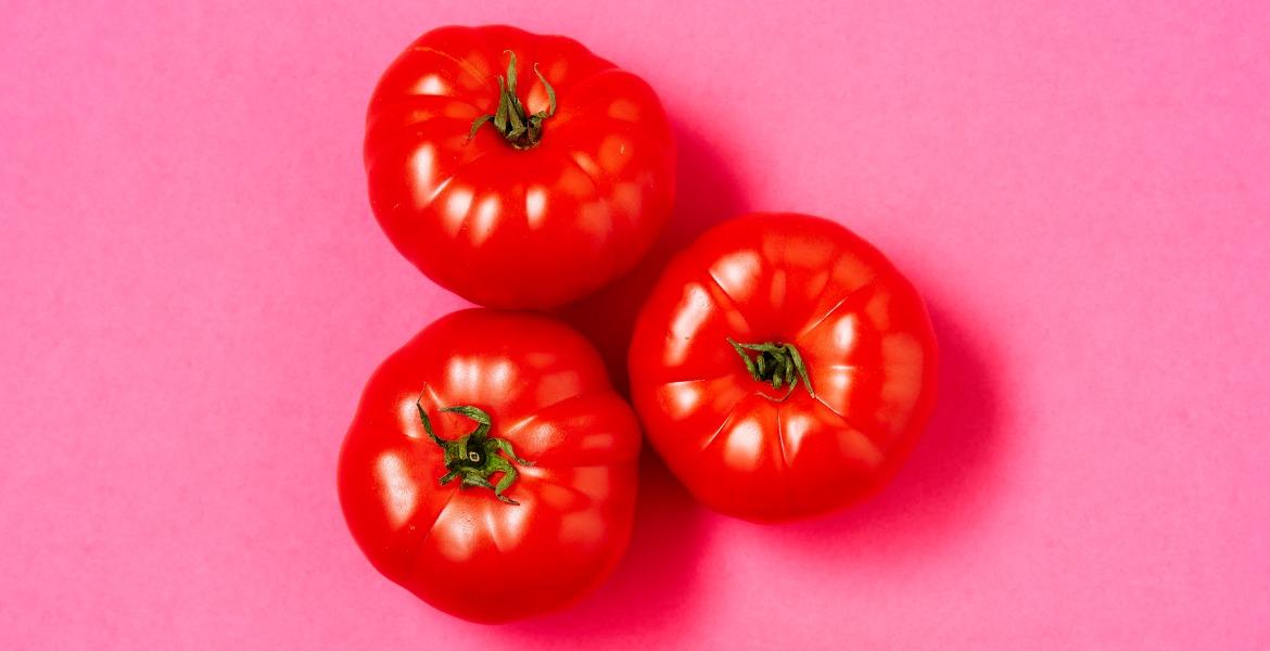 Three tomatoes on a pink background