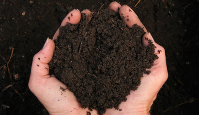 Person holding soil in their hands