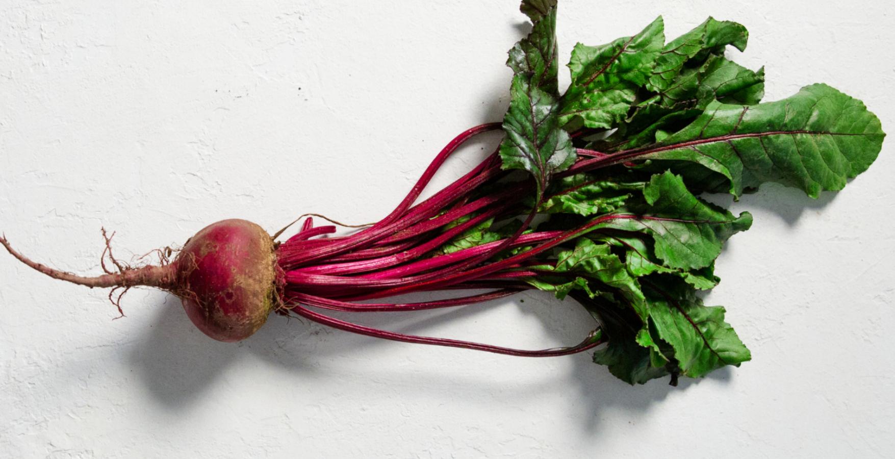 Beetroot with roots and leaves